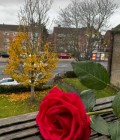 Rencontre Homme : Lane, 46 ans à Royaume-Uni  Bristol 
